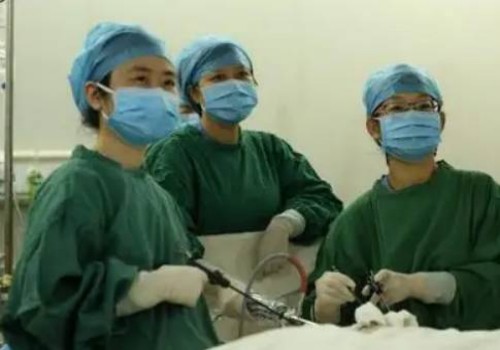 寧波三代試管助孕：孕囊大小與胎芽大小究竟有沒有關系？這份孕周對照表告訴你答案